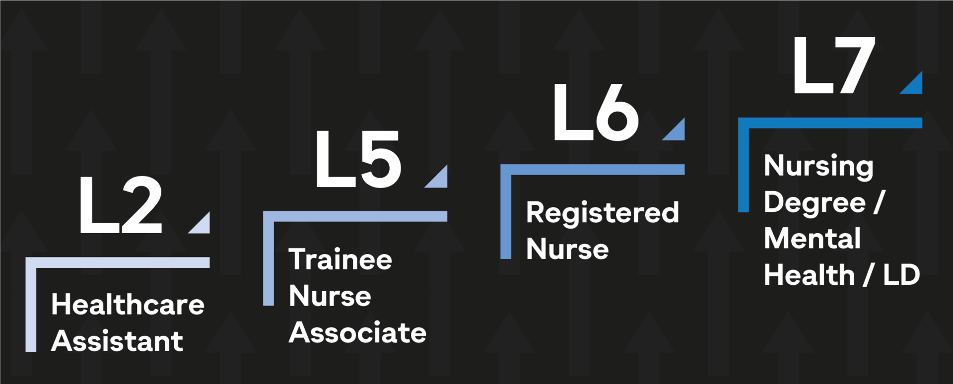 Level 2 healthcare assistant - level 5 trainee nurse associate - level 6 registered nurse - level 7 nursing degree / mental health / LD