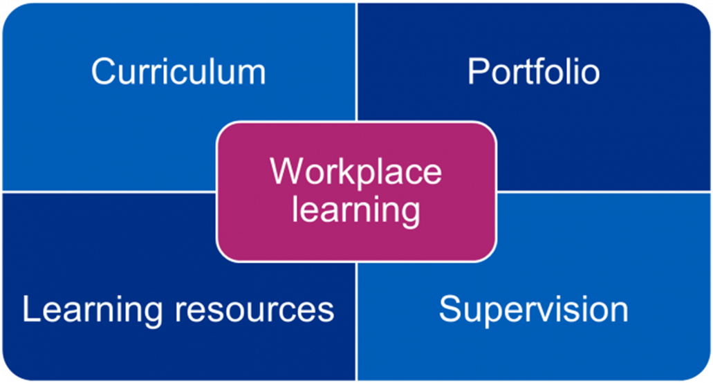 Workplace learning - curriculum, portfolio, learning resources, supervision