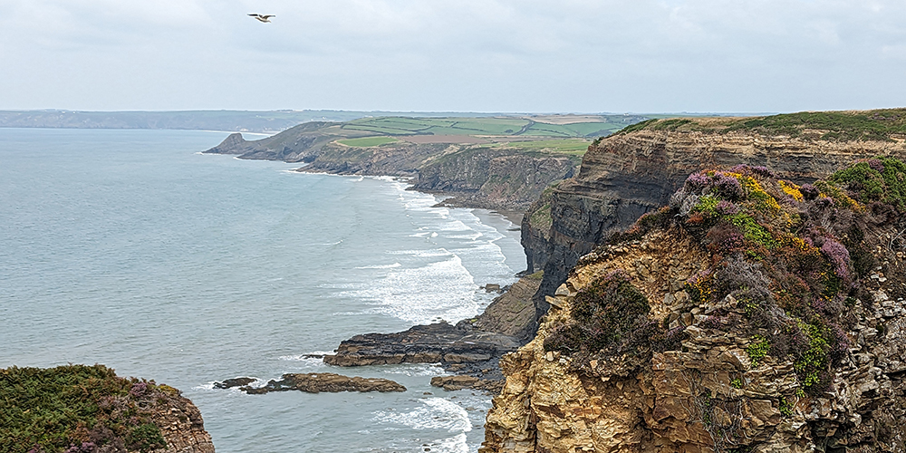 A photo of a cliff taken from the Pembrokeshire Coastal Path.