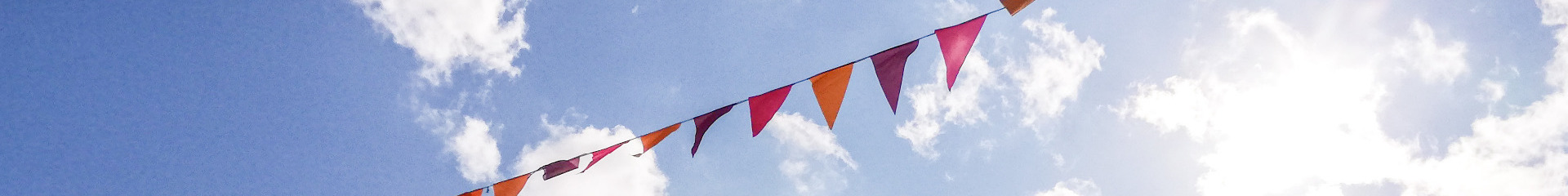 Bunting in the sky